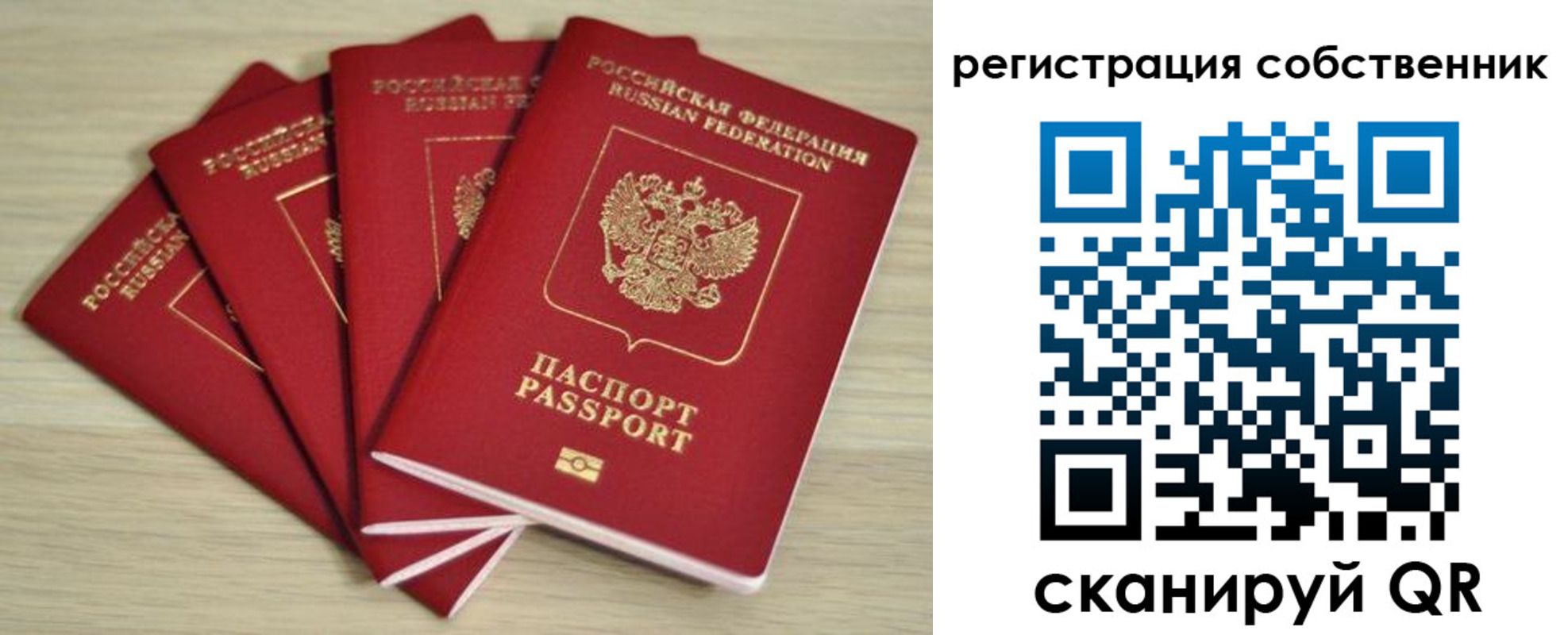 где прописаться в Алексине
