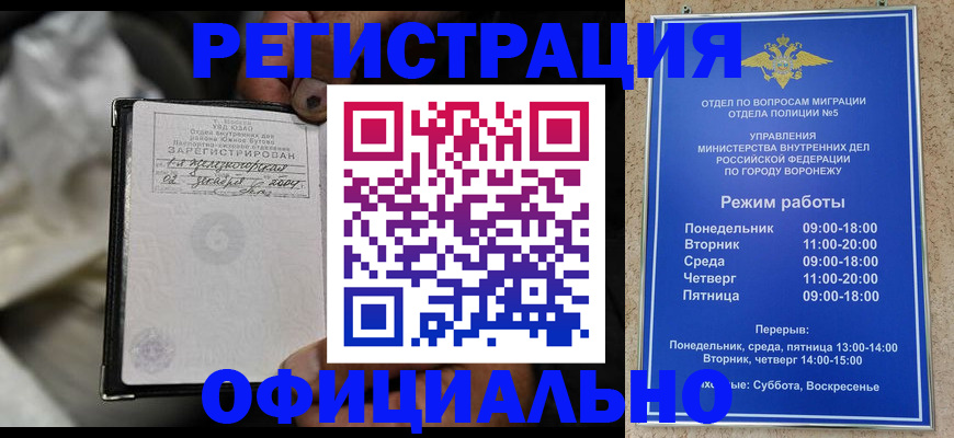 где прописаться в Алексине